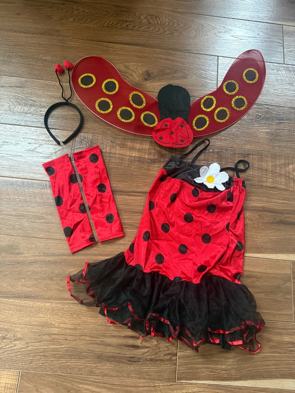 Spirit Red and Black Ladybug Kids Costume with Wings and Headband